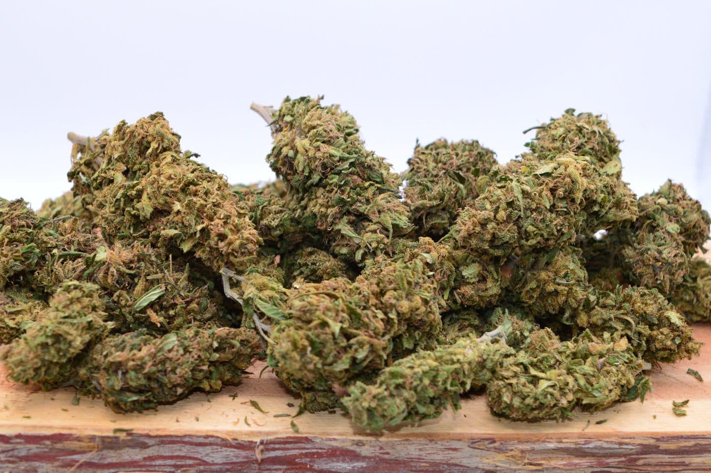 Organic Hand-Trimmed Bulk CBD Flower