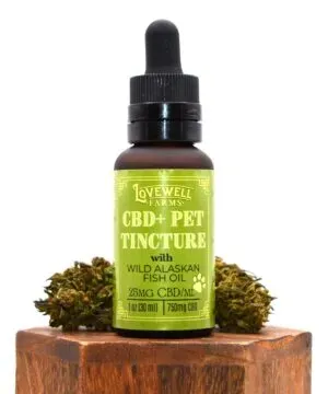 Flat lay of CBD products and dosage tools for sleep support