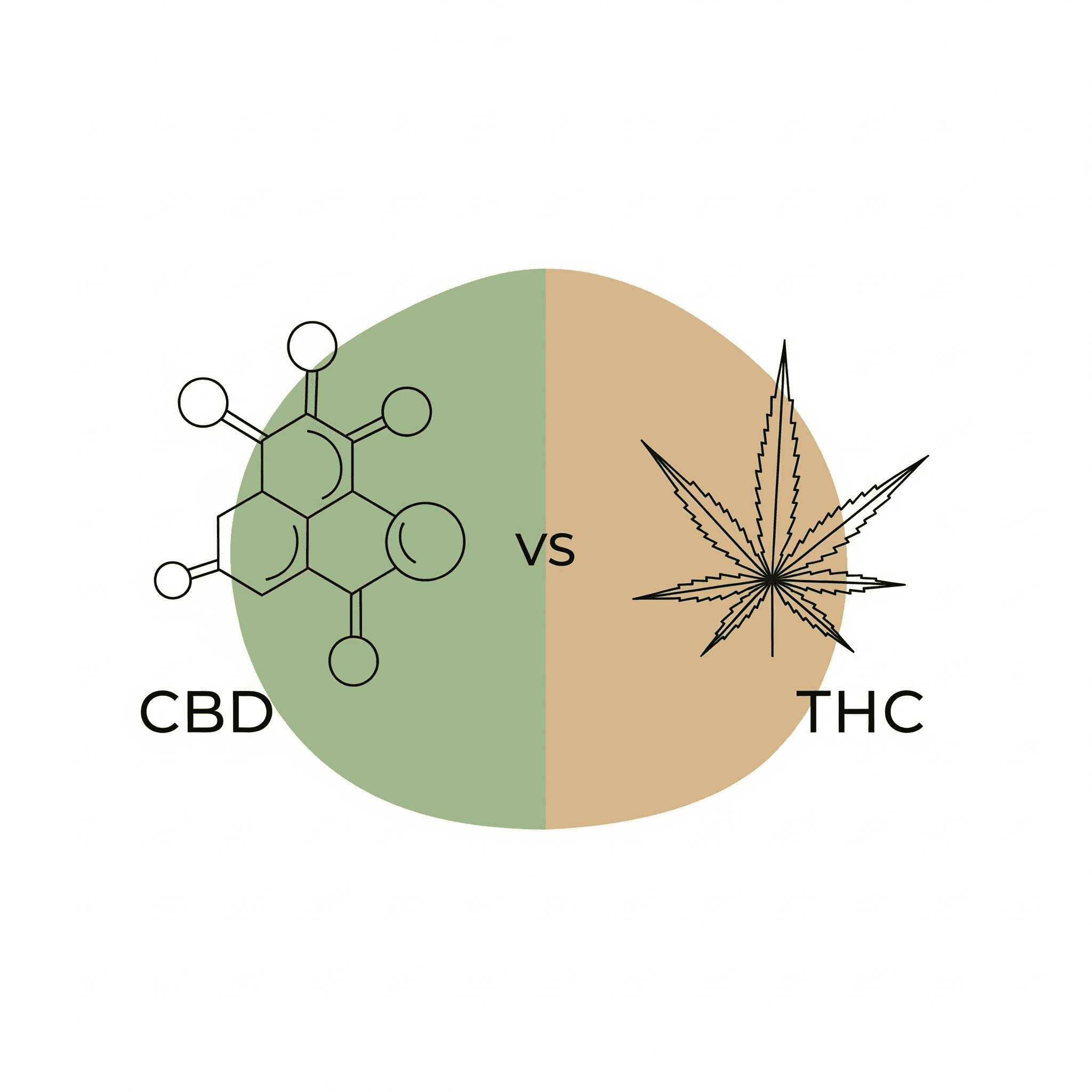 Photo for “Does CBD Make You Feel High? Here’s What to Know”