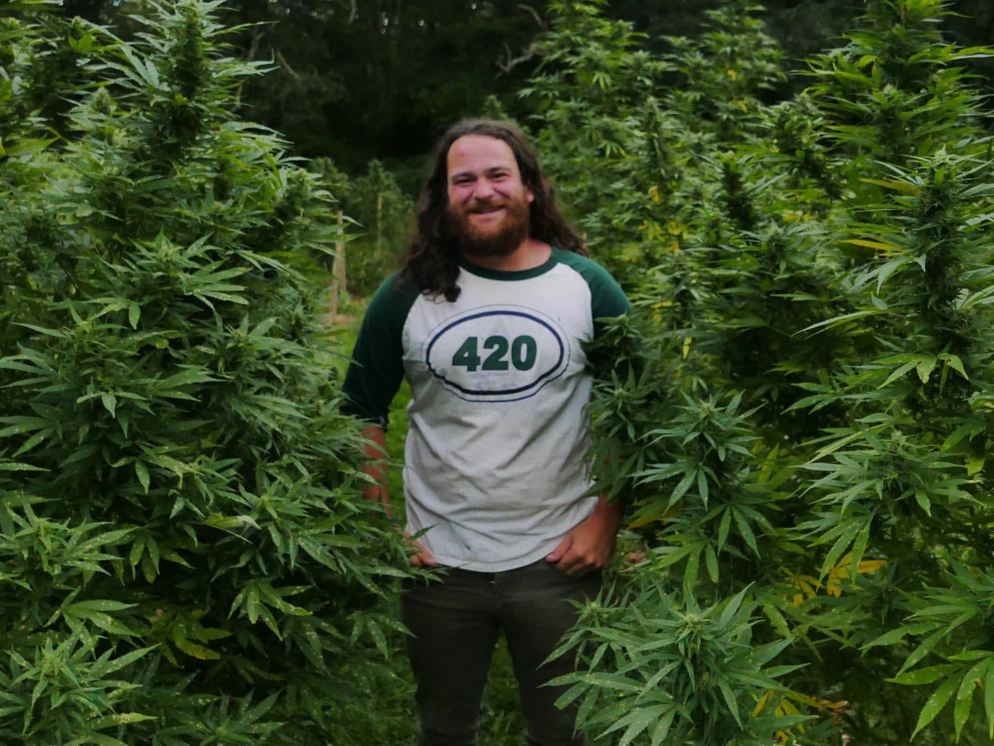DEVIN - Production & Inventory Manager