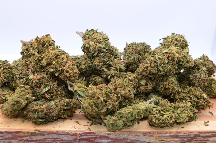 Photo for “Why Hemp Absorbs Whatever Is In the Soil It’s Grown In”