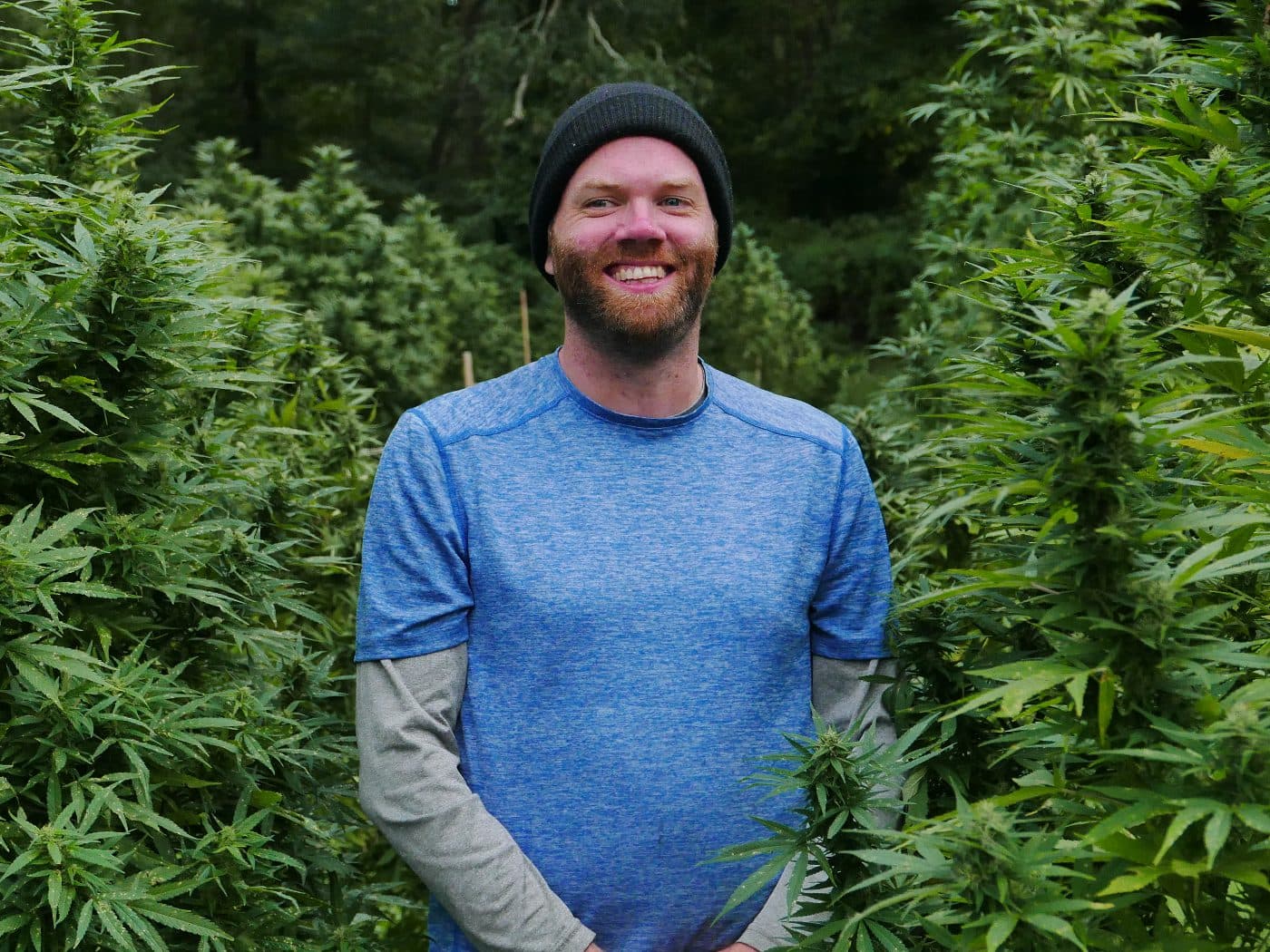 Man smiling among tall hemp plants in a sustainable cannabis farm, representing Lovewell Farms' commitment to eco-friendly practices and quality hemp cultivation.