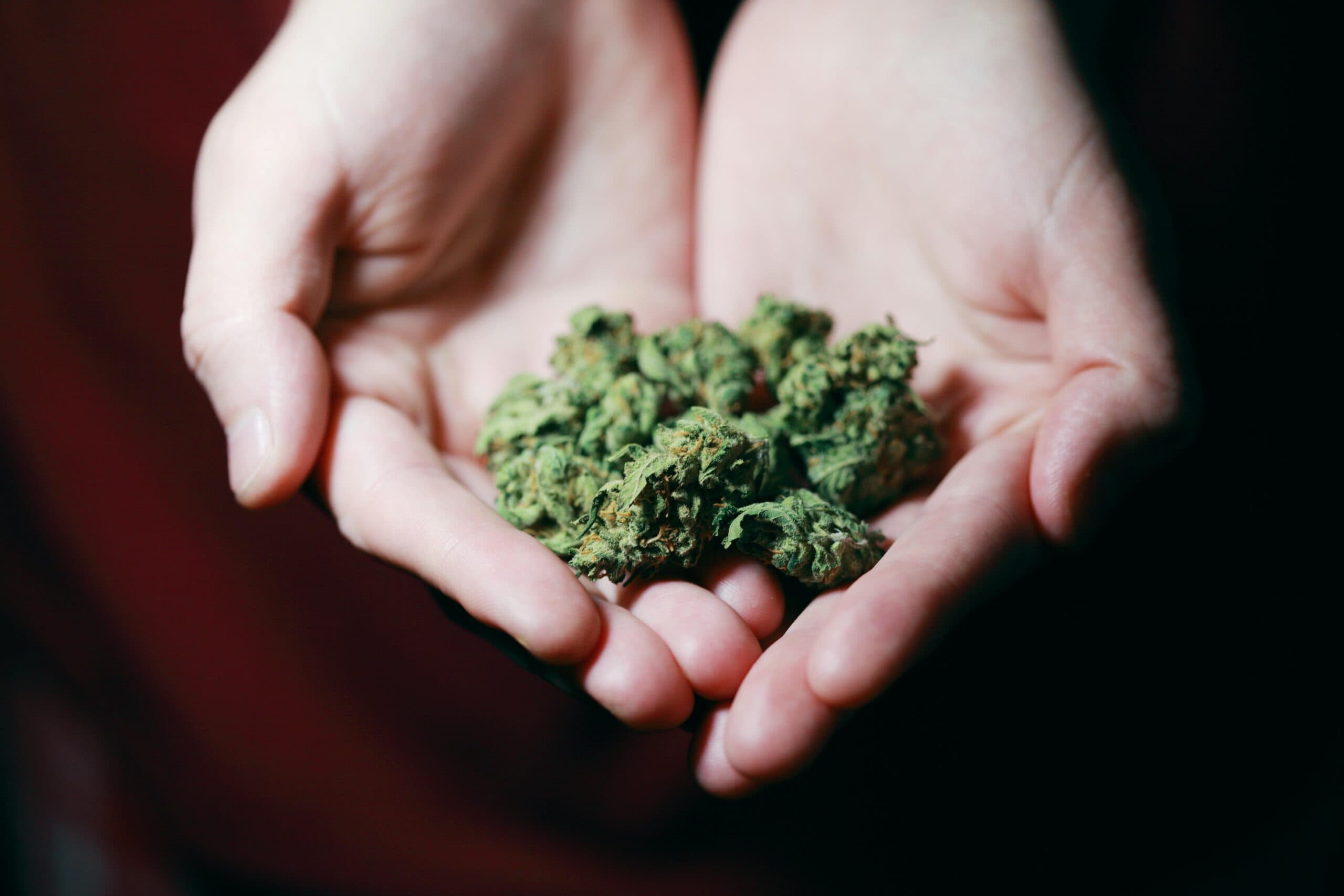 Organic CBD Hemp Flower