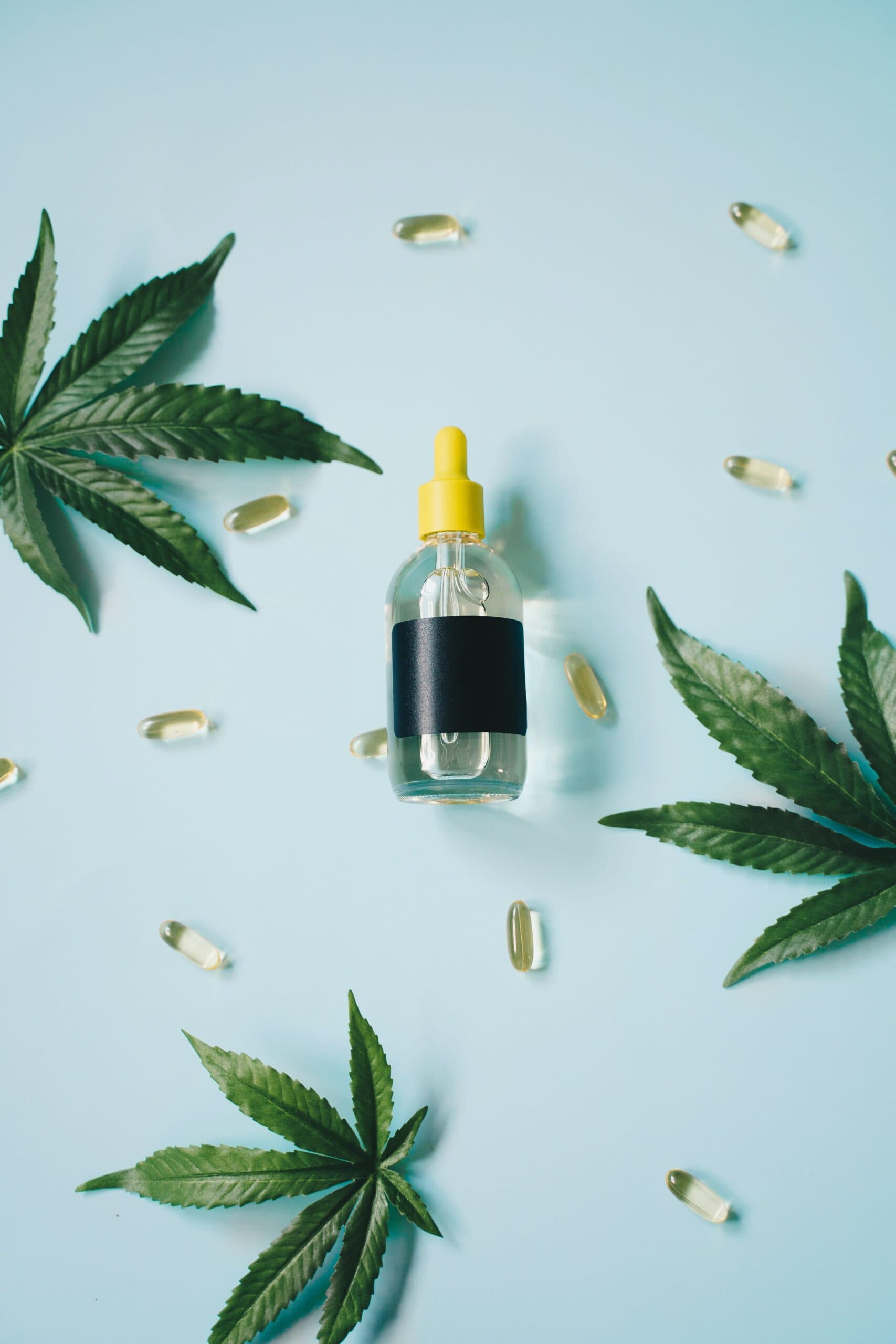 organic cbd oil