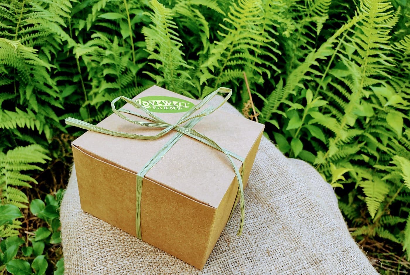 CBD-Wholesale-Company