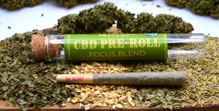 CBD+ Focus Herbal Hemp Blend
